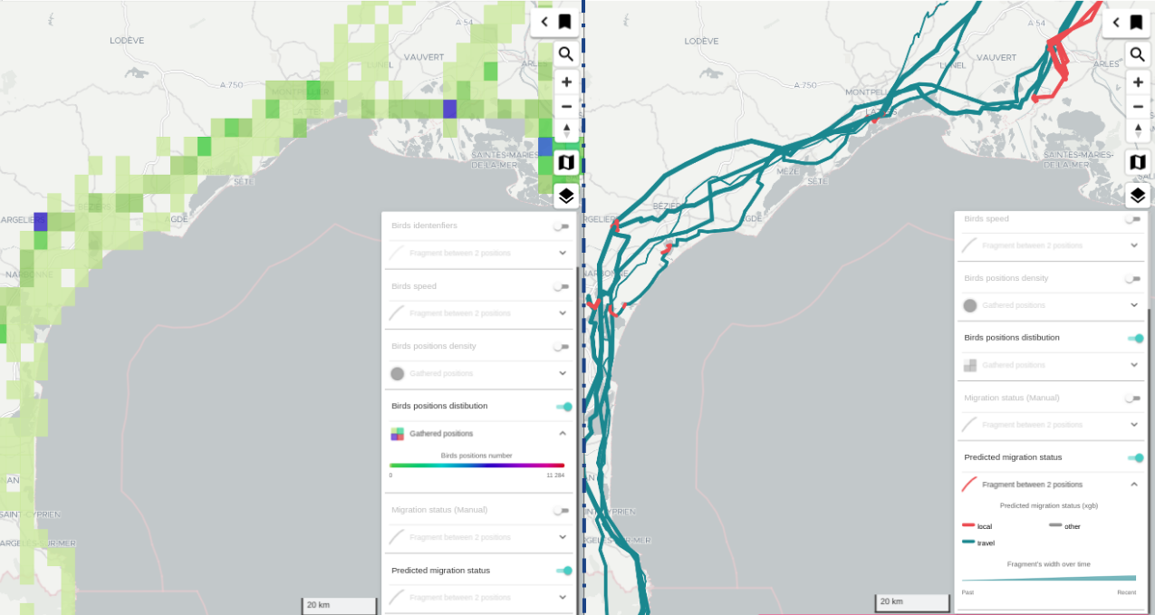 Geographical distribution vs actual storks movements